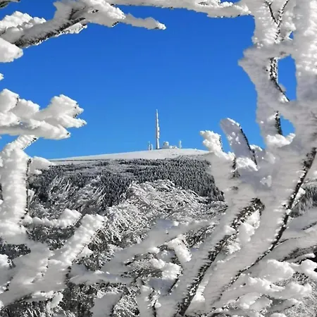 Casa de Férias Nore & Nature *