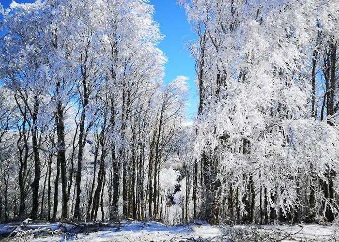 Nore & Nature Pradelles-Cabardes